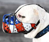 Bemalter Hundemaulkorb "American Pride"