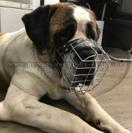 Bernardshund Drahtmaulkorb aus Stahl Bernardshund Drahtmaulkorb aus Stahl