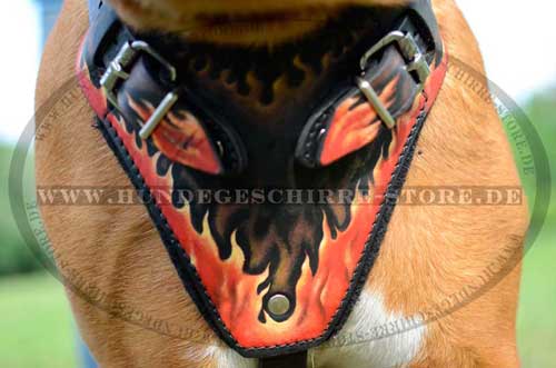 Leather Dog Harness for Dogue de Bordeaux 