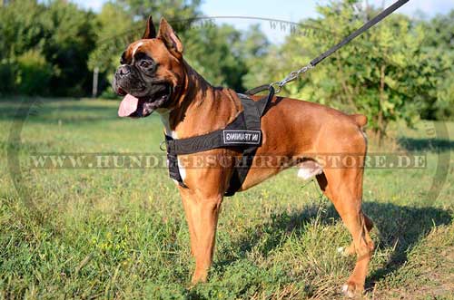 Boxer Harness K9 With ID Patches 