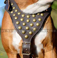 Leder Geschirr für Deutschen Boxer mit Nieten ◎◎◎ Leder Geschirr für Deutschen Boxer mit Nieten ◎◎◎