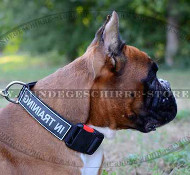 Boxer Hunde Halsband Nylon | Halsband mit Patches Boxer Hunde Halsband Nylon | Halsband mit Patches