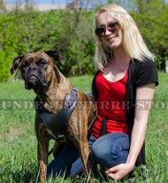 Laufgeschirr für Boxer Laufgeschirr für Boxer