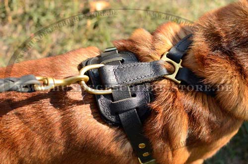 Shar Pei K9 Harness