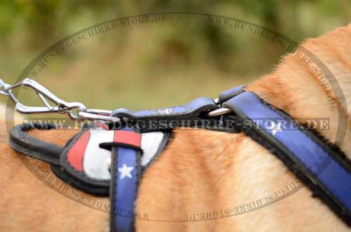 Best Dog Harness for Sharpei with Handle 