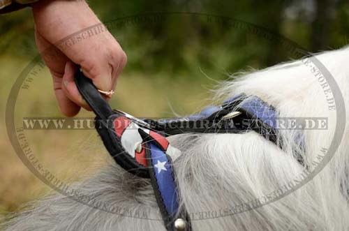 Leather Dog Harness with Handle 