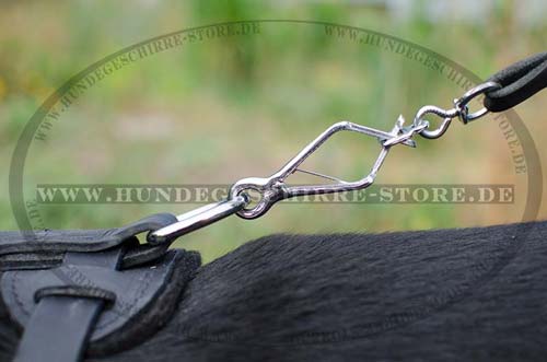 Leder Hundegeschirr Sennenhund Design