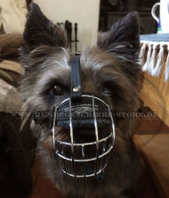 Cairn Terrier Metall Maulkorb günstig kaufen