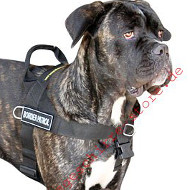 K9 Geschirr mit Aufkleber | Hundegeschirr 2015 für Cane Corso K9 Geschirr mit Aufkleber | Hundegeschirr 2015 für Cane Corso