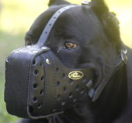 Ledermaulkorb für Cane Corso | Beißkorb für Attacke ✧ Ledermaulkorb für Cane Corso | Beißkorb für Attacke ✧