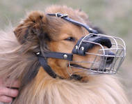 Wire basket muzzle
