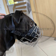 Bequemer Drahtmaulkorb für Continental Bulldog