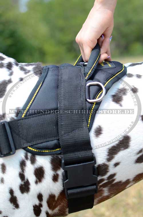 Harness for Dalmatian with Handle