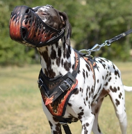 Hundegeschirr aus Leder für Dalmatiner, originelle Musterung