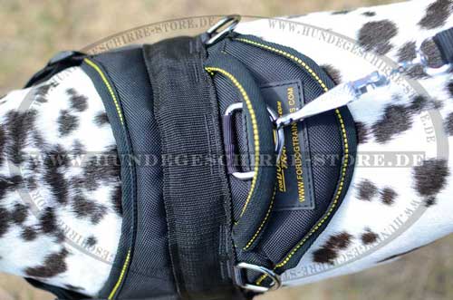 Dalmatian Harness for Dog Sport