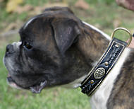 Leder Hundehalsband in einzigartigem Design, schön und bequem Leder Hundehalsband in einzigartigem Design, schön und bequem