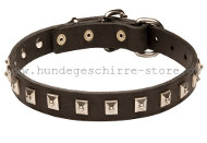 Feines Hundehalsband für Deutschen Schäferhund Feines Hundehalsband für Deutschen Schäferhund
