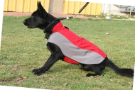Hundemantel warm für Deutschen Schäferhund, wasserdicht Hundemantel warm für Deutschen Schäferhund, wasserdicht