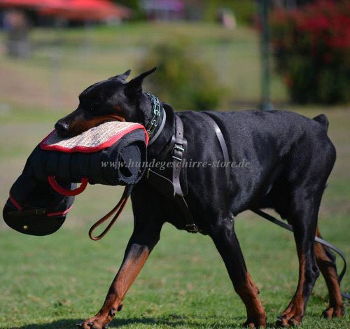 Dobermann Geschirr K9 kaufen