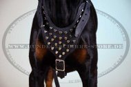Hundegeschirr Leder mit Nieten-Dekor für Dobermann Hundegeschirr Leder mit Nieten-Dekor für Dobermann