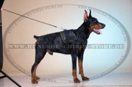 Hundegeschirr aus Nylon für Dobermann, wasserdicht und praktisc Hundegeschirr aus Nylon für Dobermann, wasserdicht und praktisc