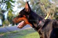 Nylon Halsband für Dobermann, dichter wetterfester Stoff Nylon Halsband für Dobermann, dichter wetterfester Stoff