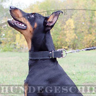 Hundehalsband für Dobie Gepolstert | Dobermann Halsband Leder Hundehalsband für Dobie Gepolstert | Dobermann Halsband Leder