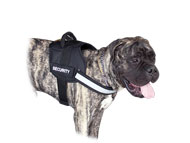 Bullmastiff Reflektierendes Allwetter-hundegeschirr