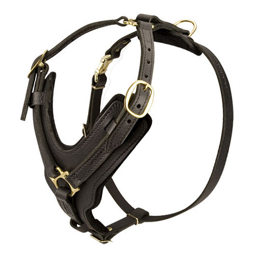 handmade leather dog harness best elegant harness