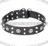 Exklusives Hunde Halsband aus Leder "Luxus Schick" Exklusives Hunde Halsband aus Leder "Luxus Schick"