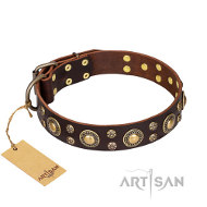 https://www.hundegeschirre-store.de/images/Exklusives-Hundegeschenk-Fordogtrainers-Halsband.jpg