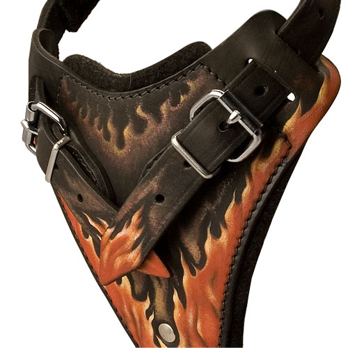 Harness K9 Leather 