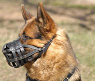Leichter Hundemaulkorb Leder mit super Luftzirkulation Leichter Hundemaulkorb Leder mit super Luftzirkulation
