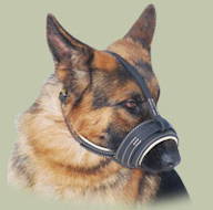Leder Maulkorb für Deutschen Schäferhund, exklusiv Leder Maulkorb für Deutschen Schäferhund, exklusiv