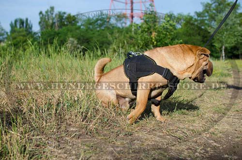 Nylon geschirr Shar Pei neu