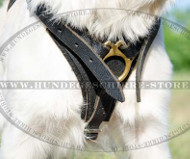 brustgeschirr leder golden
retriever geschirr leder gepolstert golden retriever