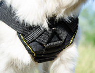 brustgeschirr golden
retriever geschirr nylon gepolstert golden retriever