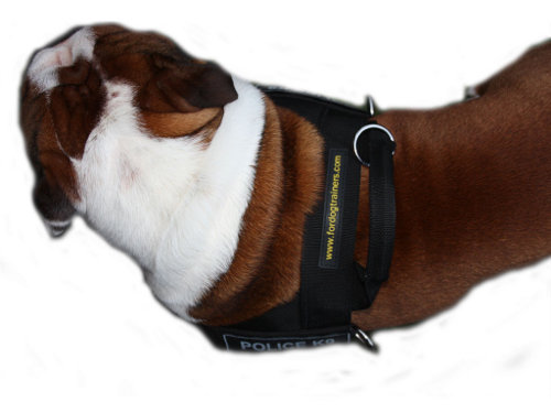 Bulldog nylon  harness DE