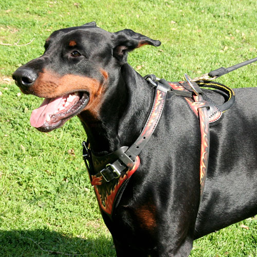 Dobermann Leather Harness with Marvellous Flame Design