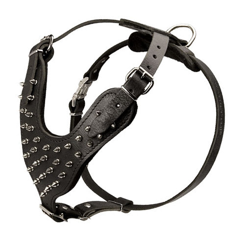 Great Dane harness leather exclusive