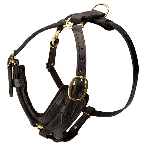 handmade leather dog harness for husky