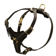 Hundegeschirr Leder für Gassigehen und Mantrailing ❺ Hundegeschirr Leder für Gassigehen und Mantrailing ❺