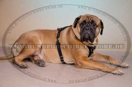 Hunde Geschirr für Bullmastiff | Ledergeschirr mit Polsterung