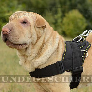 Shar-Pei Geschirr aus Nylon für Auslauf & Hundesport