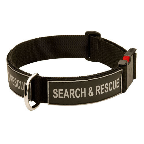 K9 Collar with Patches