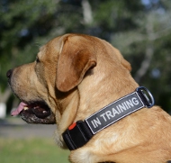 Hundehalsband Nylon für Labrador, Halsband K9 mit Klettlogos