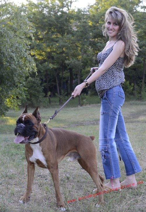 Hundeerziehung ohne Stress, Boxer