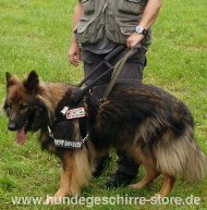 Assistenzhunde Führgeschirr für Schäferhund und andere Rassen Assistenzhunde Führgeschirr für Schäferhund und andere Rassen