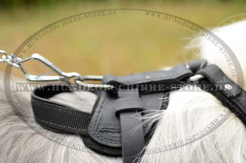 Best Dog Harness with Handle