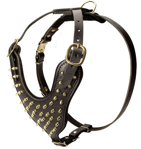 Brass leather spiked dog harness 